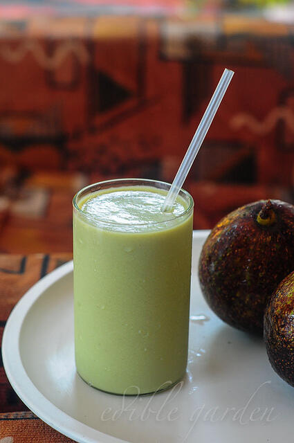 Avocado Milkshake Recipe - Milkshake with Indian Butter Fruit - Edible ...