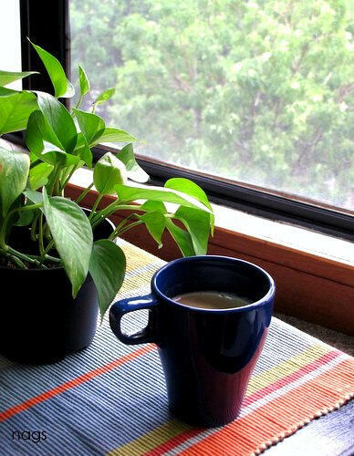 Rainy day and tea