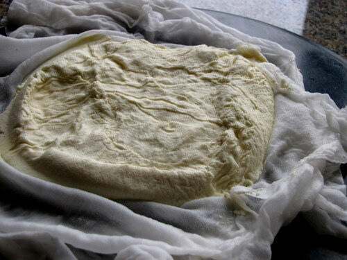 How to make paneer, homemade paneer recipe How to make paneer, homemade paneer recipe