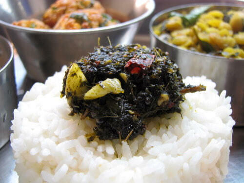 Gongura Pachadi Recipe