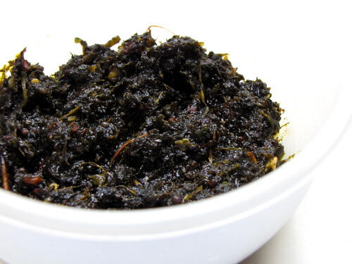 Gongura Pachadi Recipe