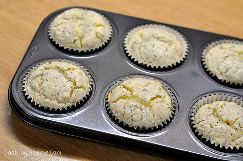 lemon poppy seed muffin