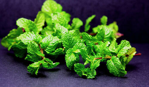 Mint Chutney - Pudina Coconut Chutney Recipe