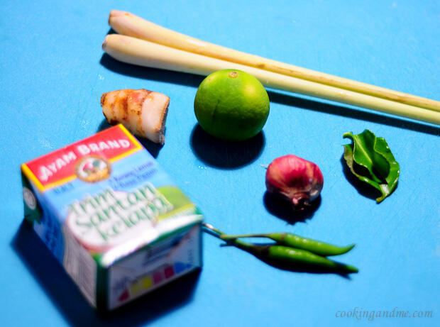 vegetarian thai tom kha gai soup