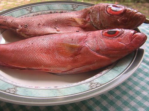 kerala fish molee stew meen molee recipe