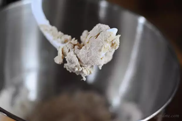 How to Make Roti / Chapati Dough (Atta) in KitchenAid (in 5 mins -  Handsfree!) < The Love of Spice