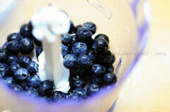 Vanilla Panna Cotta | Blueberry Coulis Recipe