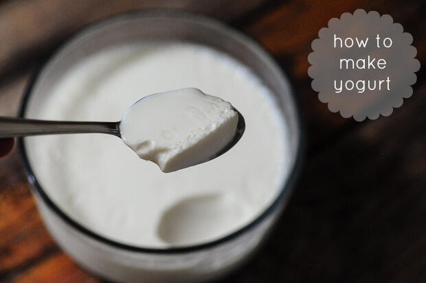 How to Make Curd-Dahi-Yogurt (Homemade Indian Curd Recipe)