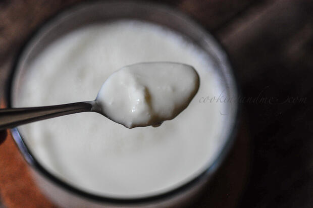 How to Make Curd-Dahi-Yogurt (Homemade Curd Recipe)