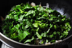 spinach and mushroom lasagna recipe