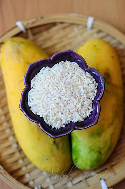 Thai Mango Sticky Rice Recipe, Easy Step by Step - Edible Garden