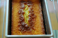 tutti frutti christmas cake recipe tutti frutti christmas cake recipe-6