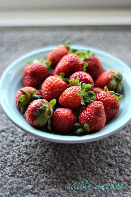 strawberry lassi-how to make strawberry lassi