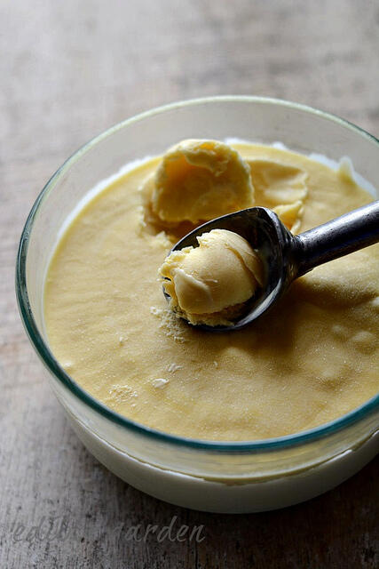 mango ice cream recipe-eggless indian mango ice cream-8