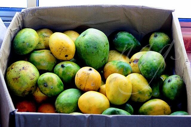easy mango recipes to use up ripe mangoes