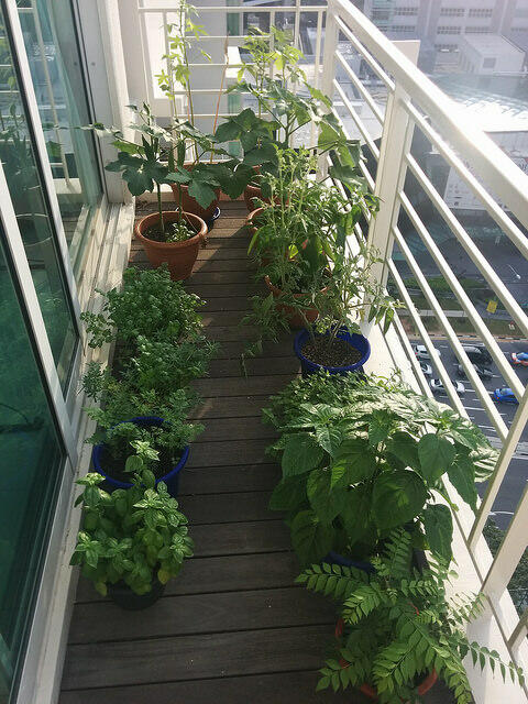 Balcony Garden