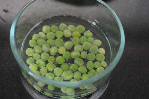 bread potato rolls recipe, bread rolls with spicy potato filling