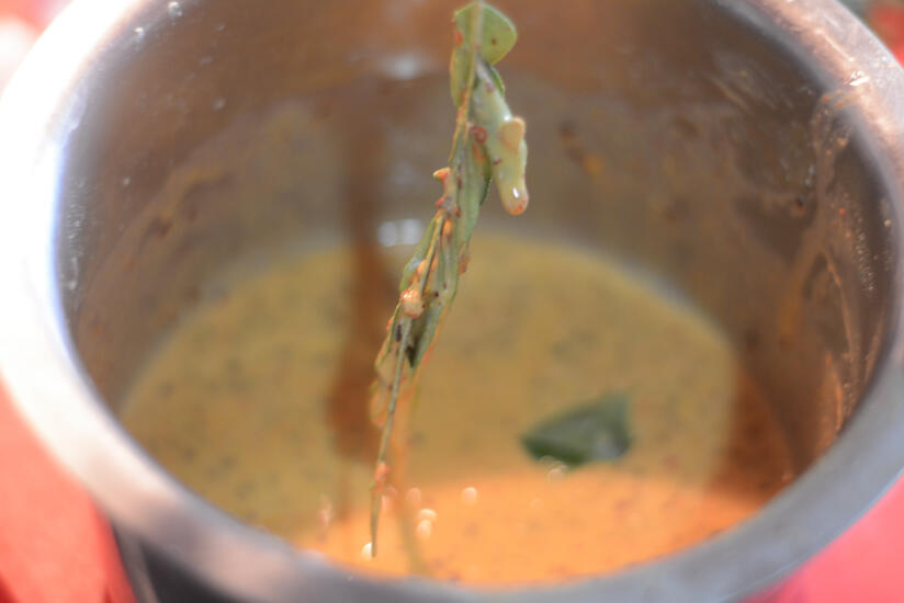 curry leaves pakoda recipe